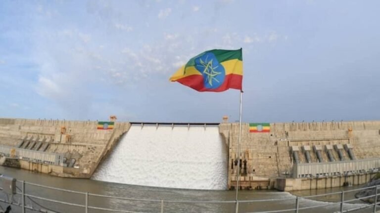 إثيوبيا-ترد-على-تصريحات-السيسي-بشأن-سد-النهضة-ندعو-للحوار.jpg