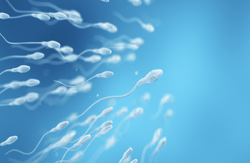 ابتكار-صيني-لعلاج-العقم-الذكري.png