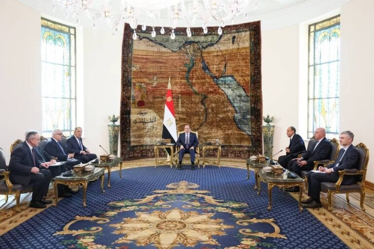 الرئاسة-المصرية-تكشف-تفاصيل-لقاء-السيسي-ولافروف.jpg