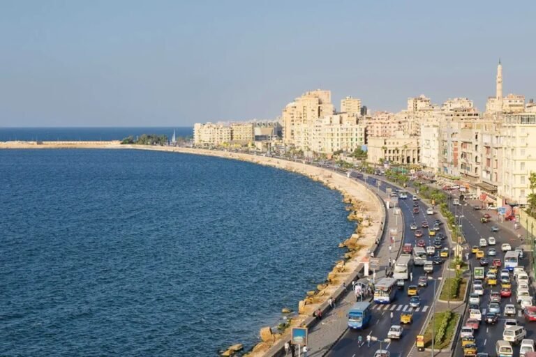 مصر-الحكومة-تعلق-رسميا-على-أزمة-فيديو-محور-الإسكندرية.jpg