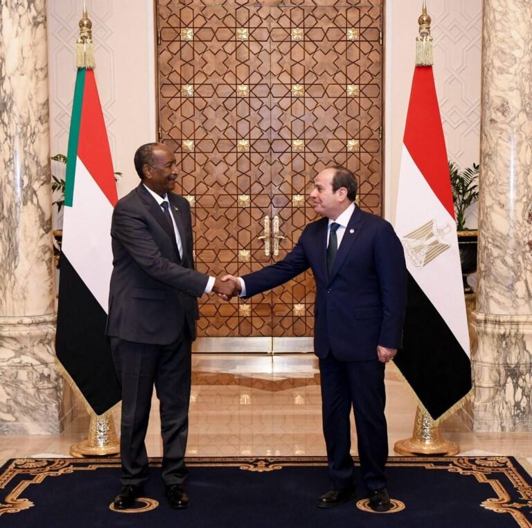 وزير-خارجية-مصر-يكشف-لـ-RT-سر-بيان-القاهرة-الشديد.jpg