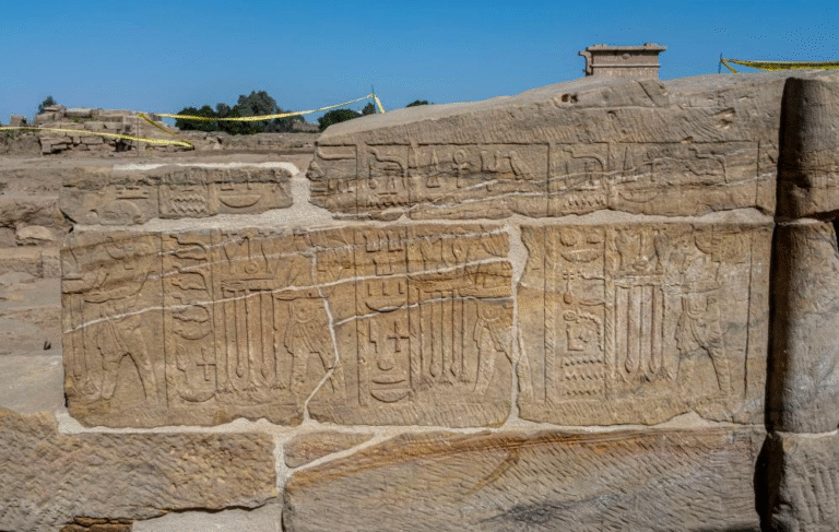 اكتشاف-مصري-صيني-في-الأقصر.png