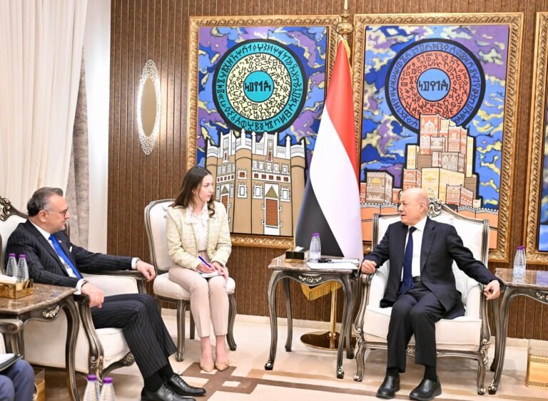 العليمي-إنهاء-التواجد-العسكري-الإماراتي-في-اليمن-لم-يكن-قرارا.jpeg