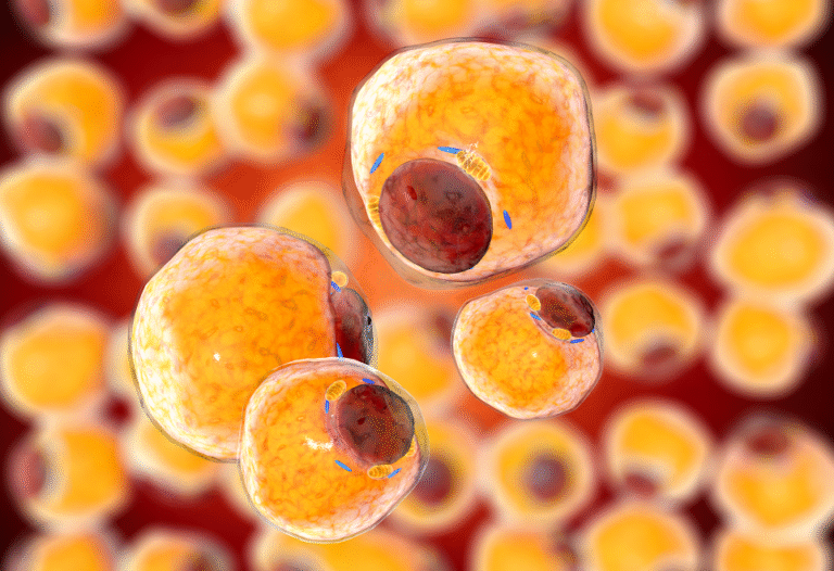 فوائد-فقدان-الوزن-لصحة-الأنسجة-الدهنية-في-الجسم.PNG