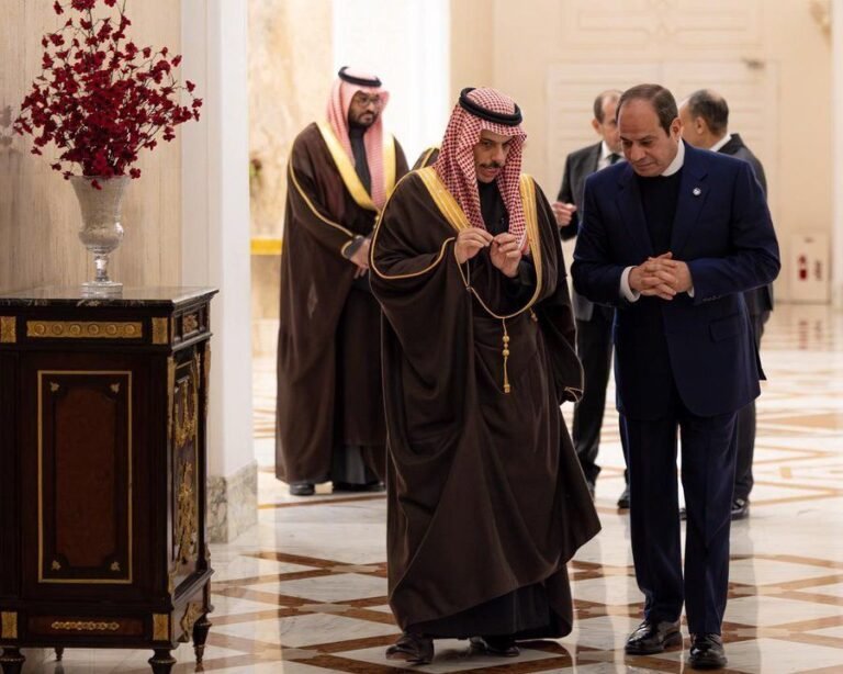 ملفات-استراتيجية-حاسمة-ما-الذي-يخفيه-لقاء-السيسي-وفيصل-بن.jpg