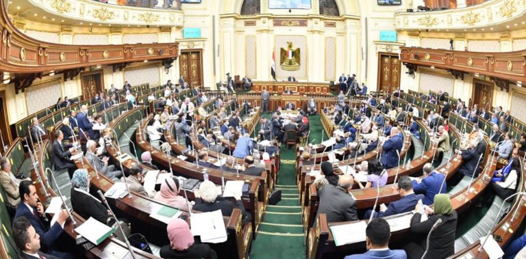 إعلامي-مصري-يتحدث-عن-مفاجأة-صادمة-تنتظر-البرلمان.jpg