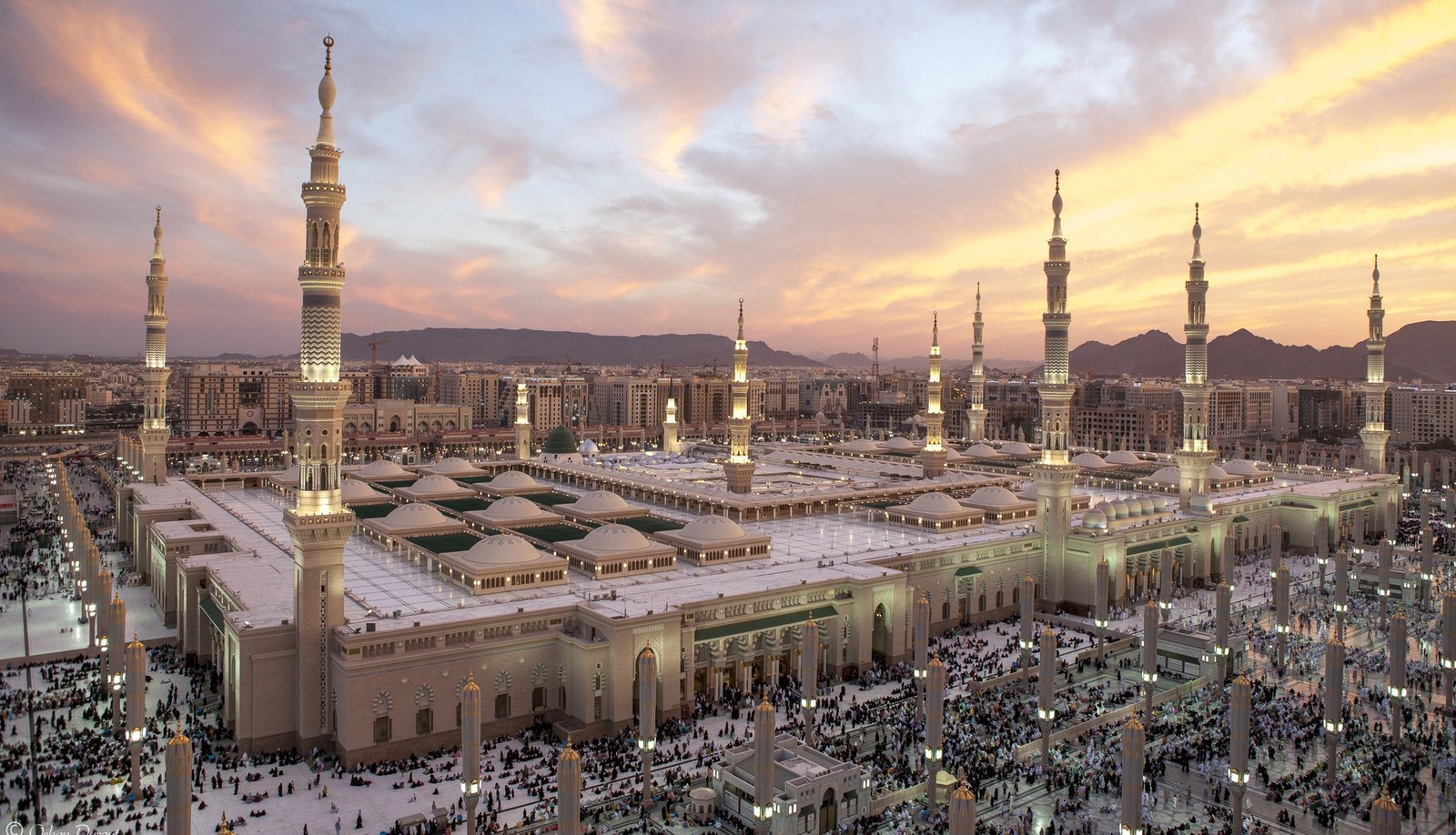 المفتي-العام-للسعودية-يكلف-عددا-من-أعضاء-هيئة-كبار-العلماء.jpg