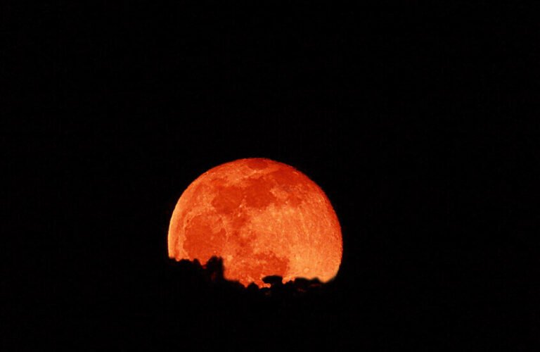 خسوف-كلي-لـقمر-الدم-في-3-مارس-دليلك-لمشاهدة-هذا.jpg
