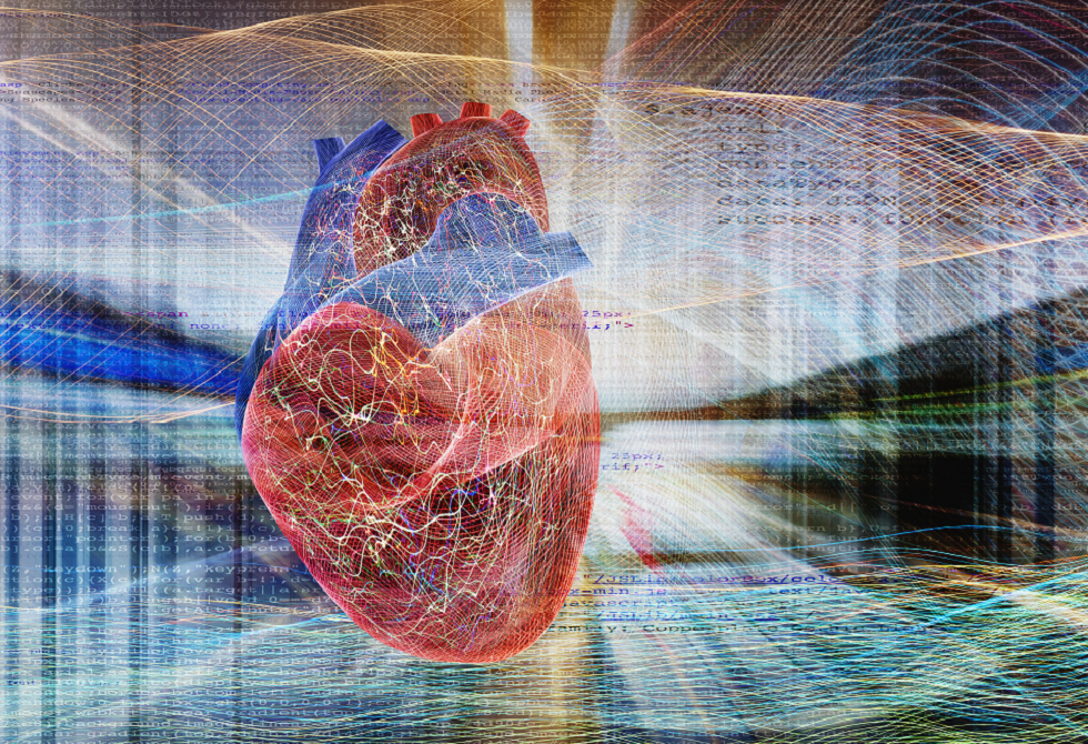 قلب-اصطناعي-على-شريحة-يفتح-آفاقا-لمحاربة-الأمراض-القلبية.PNG