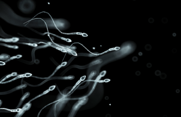 متى-يبدأ-إنتاج-الحيوانات-المنوية-بالتراجع-عند-الرجل؟.png