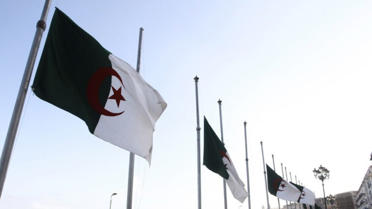 منصة-الطاقة-صادرات-الجزائر-من-الغاز-المسال-تقفز-بنسبة-74.jpg