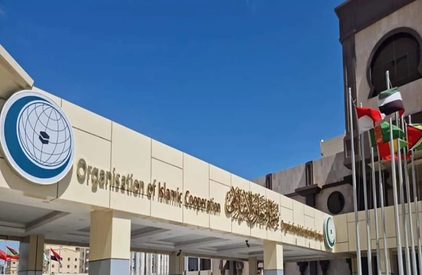 منظمة-التعاون-الإسلامي-تدعو-لمحاسبة-إسرائيليين-ارتكبوا-العنف-الجنسي-بحق.png