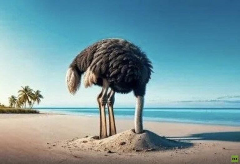 هل-ترامب-هادئ-أم-حائر-أم-مشلول-من-الخوف؟.jpg