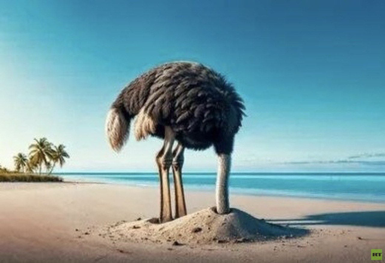 هل-ترامب-هادئ-أم-حائر-أم-مشلول-من-الخوف؟.jpg