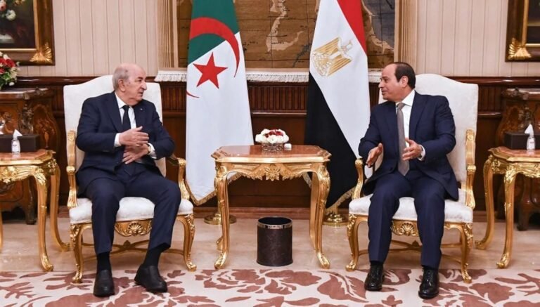 السيسي-وتبون-يشددان-على-حماية-أمن-الدول-العربية-وتعزيز-التنسيق.jpg