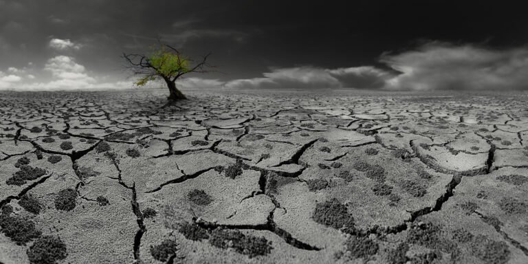 بعد-252-مليون-سنة-من-الغموض-حل-لغز-الانقراض-الأعظم.jpg