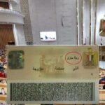 فكرة-إماراتية-تعود-إلى-الواجهة-في-مصر-وتثير-جدلا-واسعا.jpg