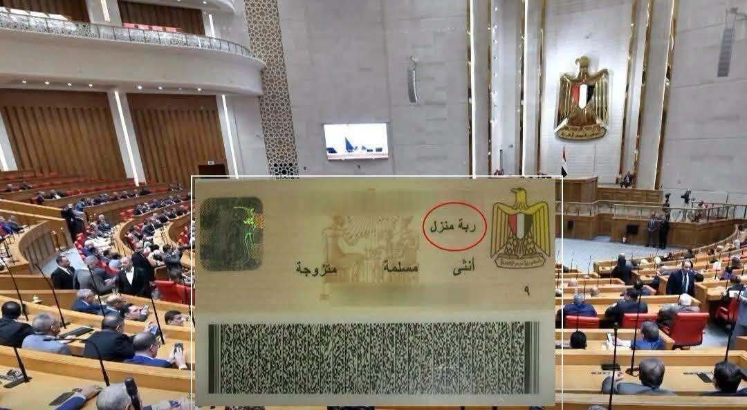 فكرة-إماراتية-تعود-إلى-الواجهة-في-مصر-وتثير-جدلا-واسعا.jpg