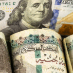 لماذا-ارتفعت-ديون-مصر-من-48-إلى-165-مليار-دولار؟.png