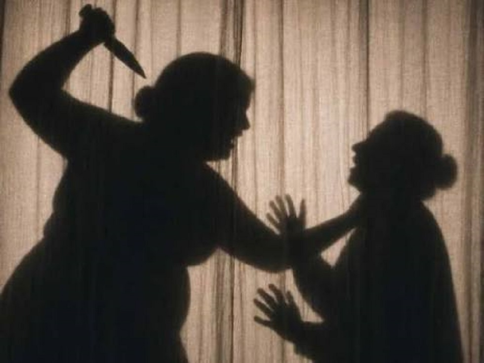 مصر-المحامية-المتهمة-بوضع-رأس-والدتها-في-الثلاجة-تدلي-باعترافات.png