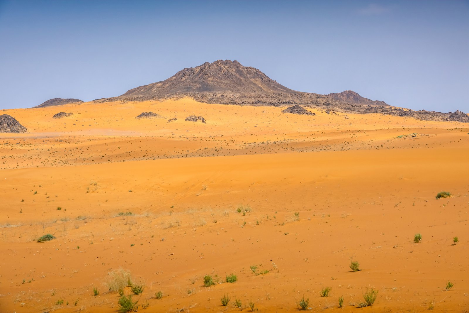 أدوات-حجرية-تكشف-عن-وجود-إنسان-نياندرتال-في-صحراء-السعودية.jpg