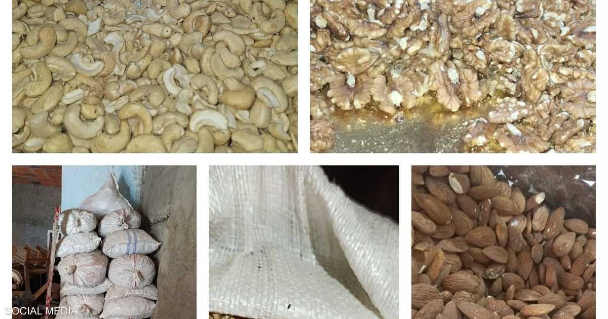ديدان-وقوارض-تونس-تحجز-86-طنا-من-الأغذية-الفاسدة.jpeg