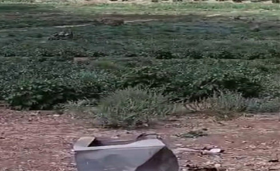 سوريا-إتلاف-محاصيل-تروى-من-الصرف-الصحي-في-درعا-ومصادرة.jpg