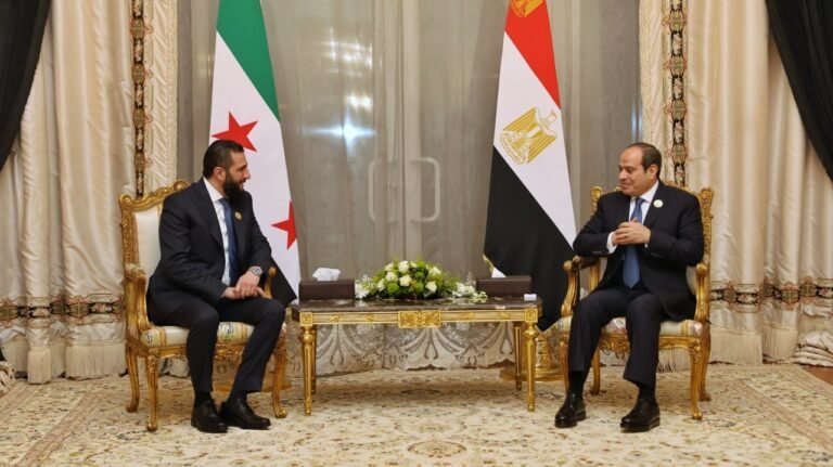 عبد-العاطي-يكشف-تحركا-مصريا-جديدا-تجاه-سوريا.jpg