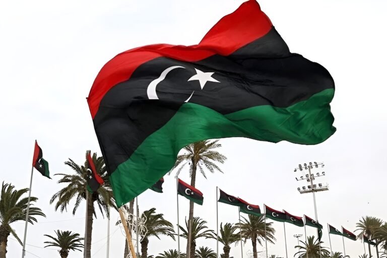 لماذا-لم-تجر-الانتخابات-الليبية-حتى-الآن؟-سفير-ليبيا-بالقاهرة.jpg