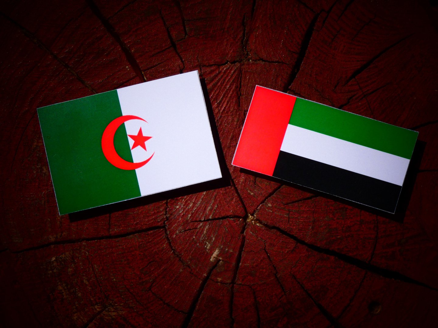 الجزائر-والإمارات-إلى-القطيعة-الدبلوماسية-مسار-خلافات-تراكمت-حول-ملفات.jpg
