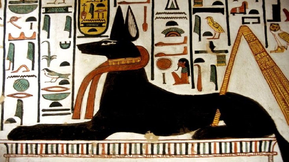بعد-3500-عام-علماء-المصريات-يكشفون-اسم-كلب-غامض-في.jpg