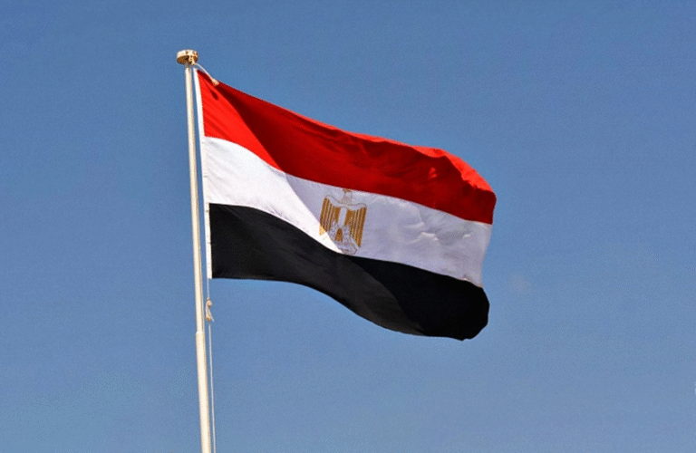 بينهم-ابنة-الشاطر-مصر-تدرج-16-شخصا-على-قوائم-الإرهابيين.png
