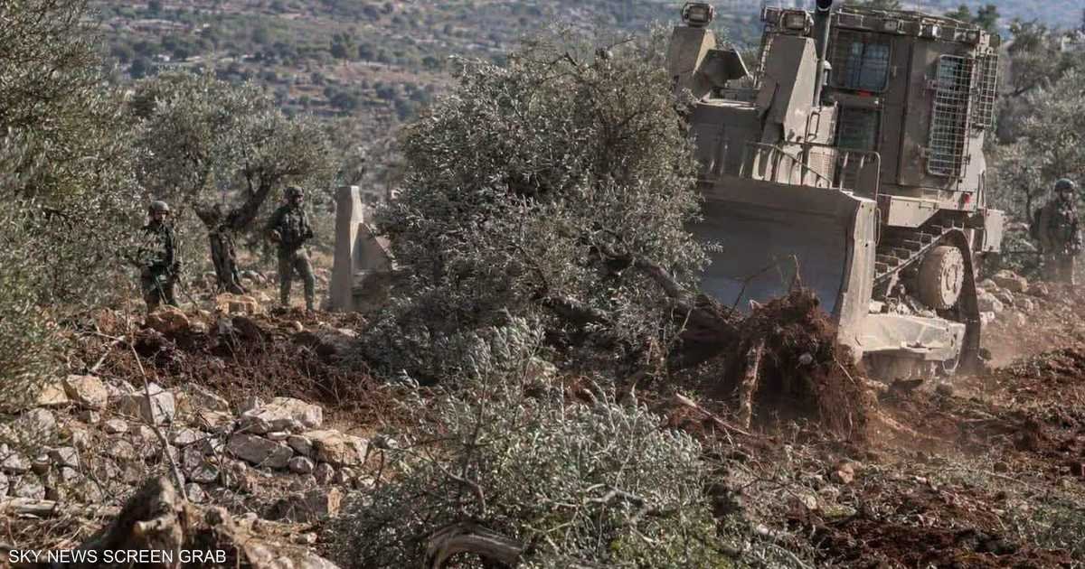 جنوب-لبنان-شروط-إسرائيلية-تعرقل-قطاف-الزيتون.jpeg
